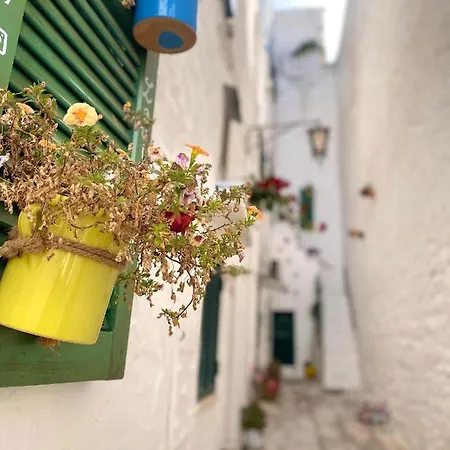 Dimora Lavinia Casa Vacanze Centro Storico Ostuni Exterior photo