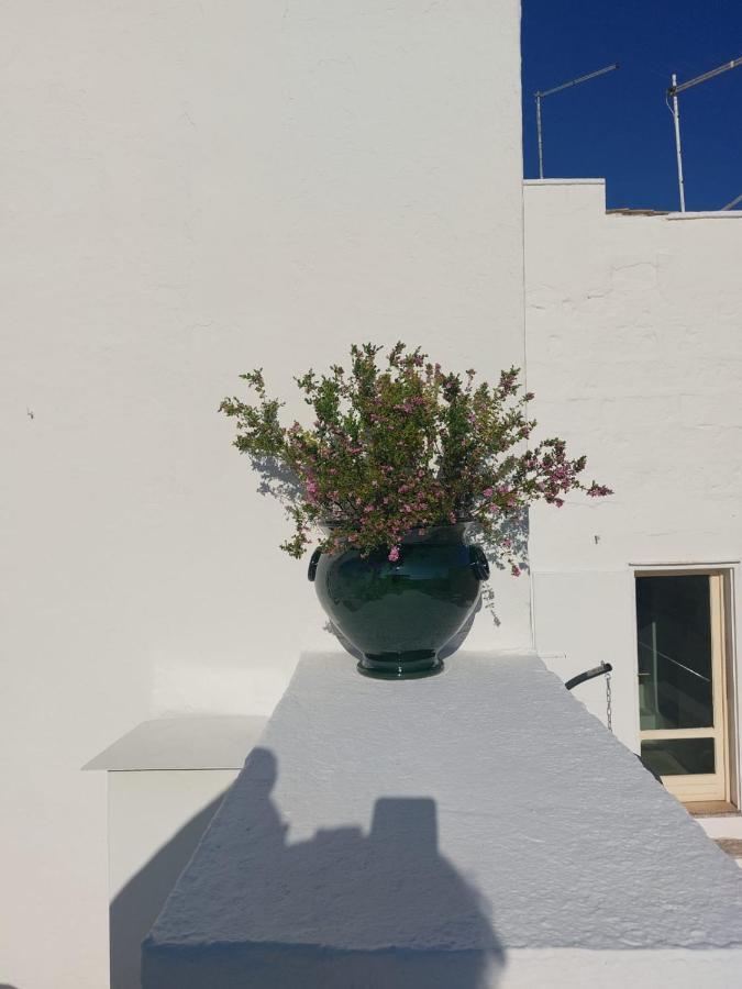 Dimora Lavinia Centro Storico Ostuni