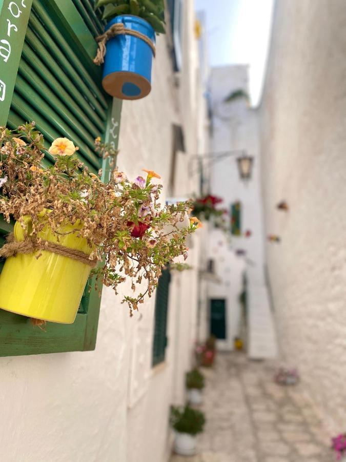 Dimora Lavinia Centro Storico * Ostuni